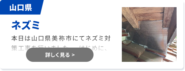 対象害獣：ネズミ