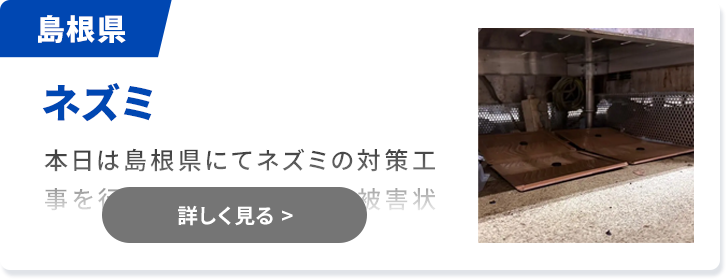 対象害獣：ネズミ
