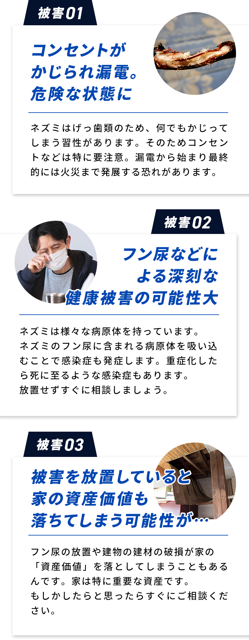 被害01　コンセントがかじられ漏電。危険な状態に、被害02　フン尿などによる深刻な健康被害の可能性大、被害03　被害を放置していると家の資産価値も落ちてしまう可能性が・・