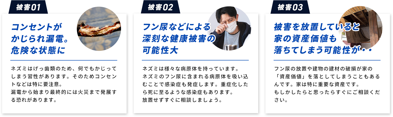 被害01　コンセントがかじられ漏電。危険な状態に、被害02　フン尿などによる深刻な健康被害の可能性大、被害03　被害を放置していると家の資産価値も落ちてしまう可能性が・・