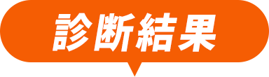 危険度チェック結果