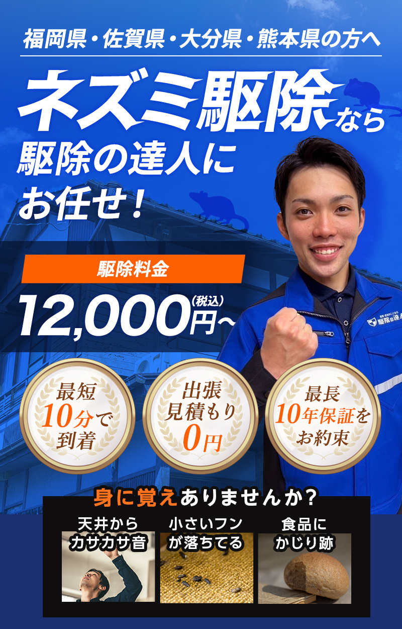 福岡県・佐賀県・大分県・熊本県の方へ 害獣被害でお困りならプロにお任せ！ 駆除料金7,700円～（税込） 【対応している害獣】ネズミ・イタチ・ハクビシン・タヌキ・アナグマ・アライグマ・コウモリ・テン