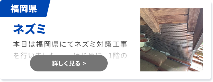 対象害獣：ネズミ