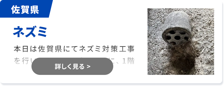 対象害獣：ネズミ