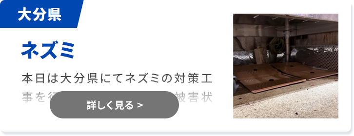 対象害獣：ネズミ