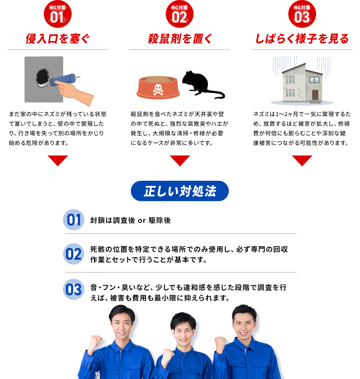 ネズミの駆除は、やってはいけないNG対策